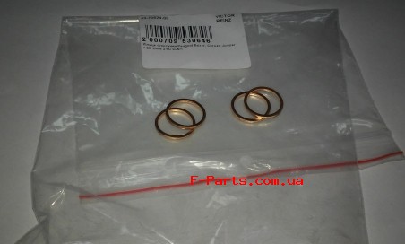 Уплотнительное кольцо форсунки медное Victor Reinz 407062400